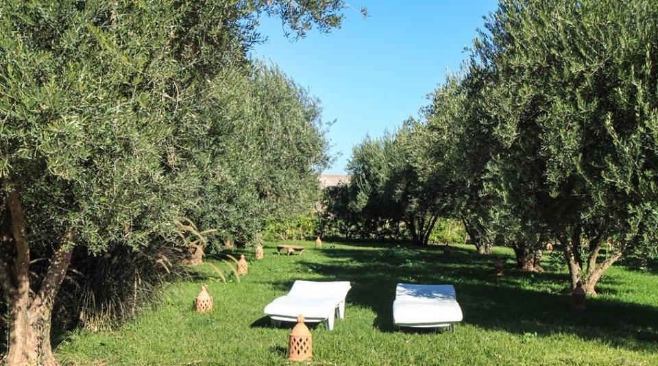 Riad Sidi Hicham Ouled Bouzid ภายนอก รูปภาพ