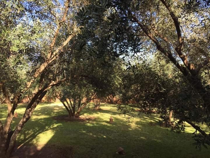 Riad Sidi Hicham Ouled Bouzid ภายนอก รูปภาพ